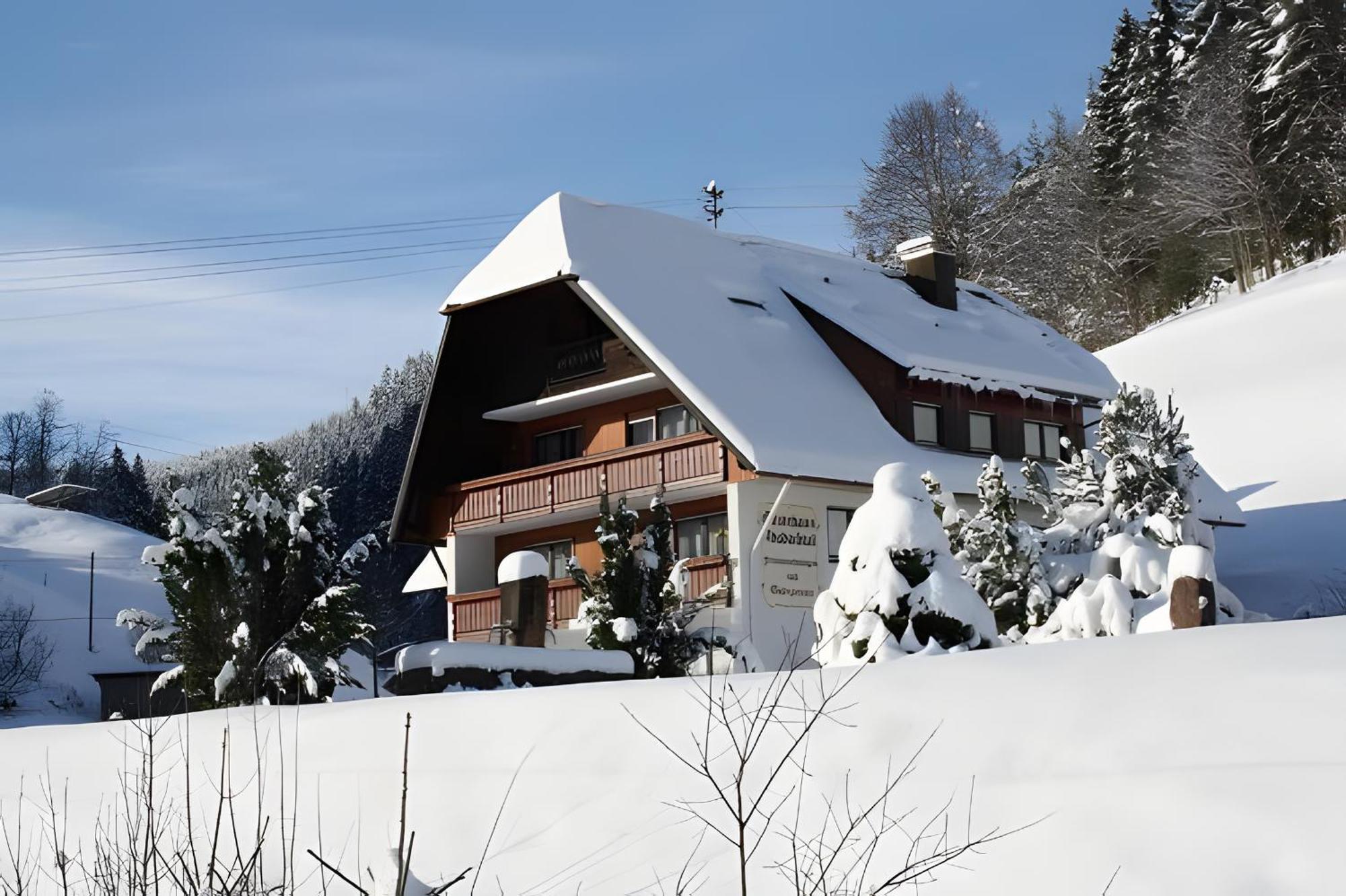 Gaestehaus Absbachtal Bad Rippoldsau-Schapbach Bagian luar foto